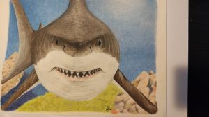 De serie mooie dieren deel 3: portret van de haai