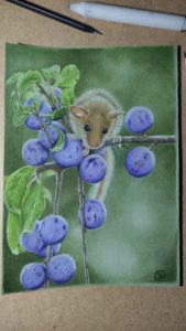 Een lief klein muisje